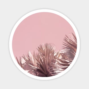 Palm trees - pink - nature photography Magnet